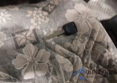 2006 Honda Element Ex-P z USA, uszkodzony, nr VIN 5J6YH28736L002027